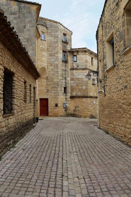 Apartamento Entre Uzes Et Le Pont-Du-Gard Le Logis D'Autrefois Castillon-du-Gard Exterior foto