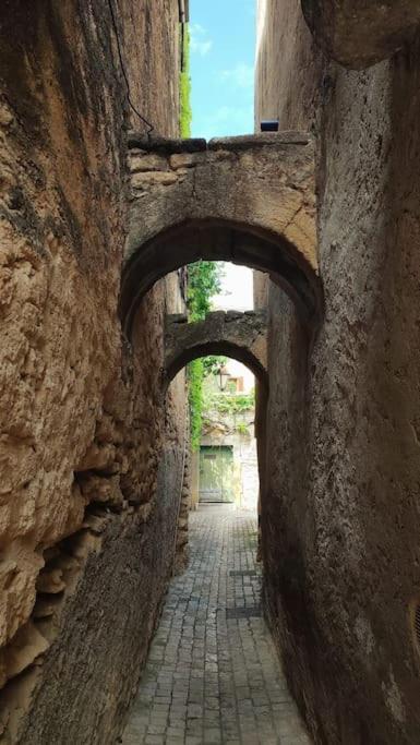 Apartamento Entre Uzes Et Le Pont-Du-Gard Le Logis D'Autrefois Castillon-du-Gard Exterior foto